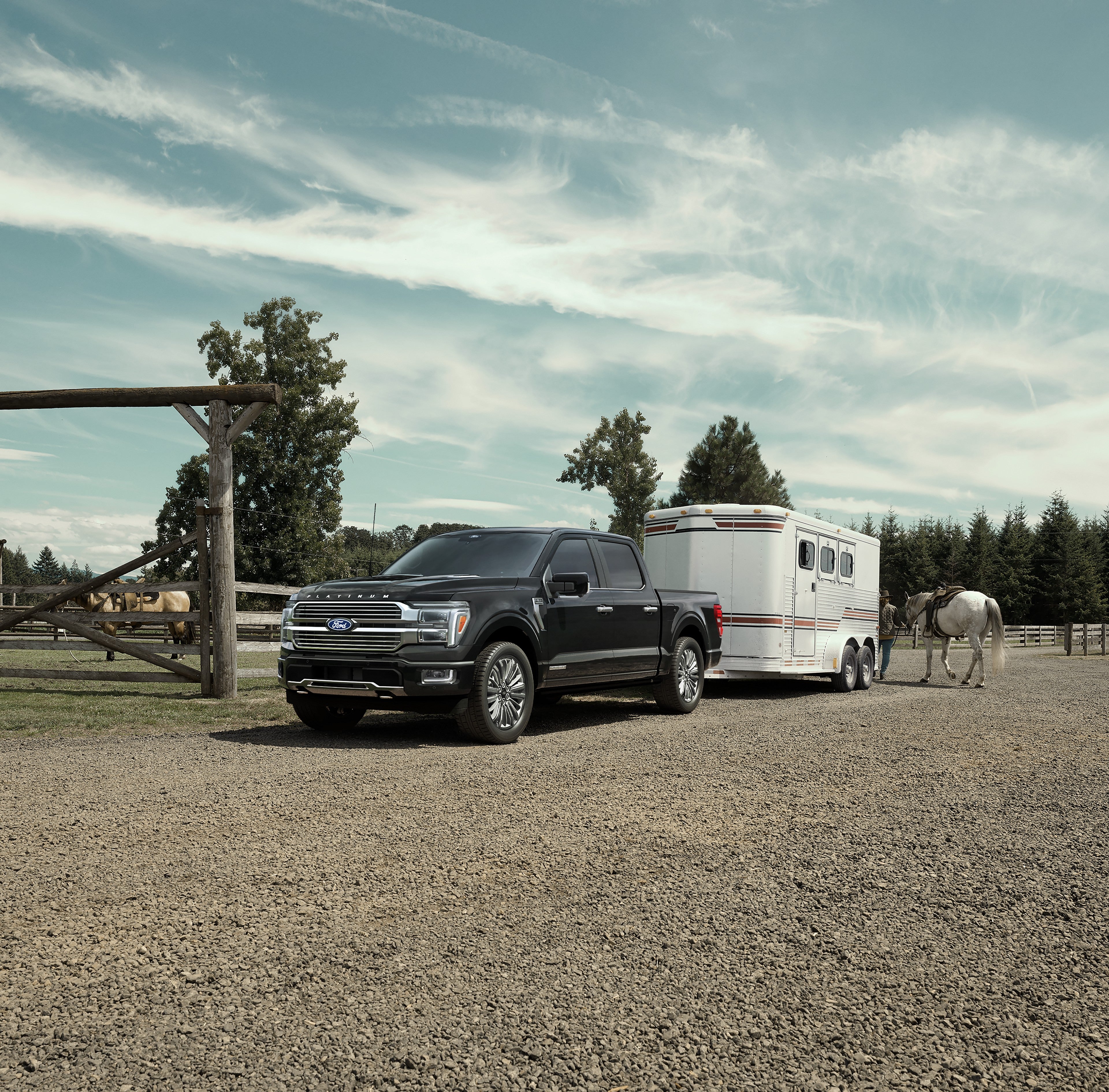 Ford F-150 XLT 2026 remorquant une remorque à cheval sur un ranch canadien - Ford Canada
