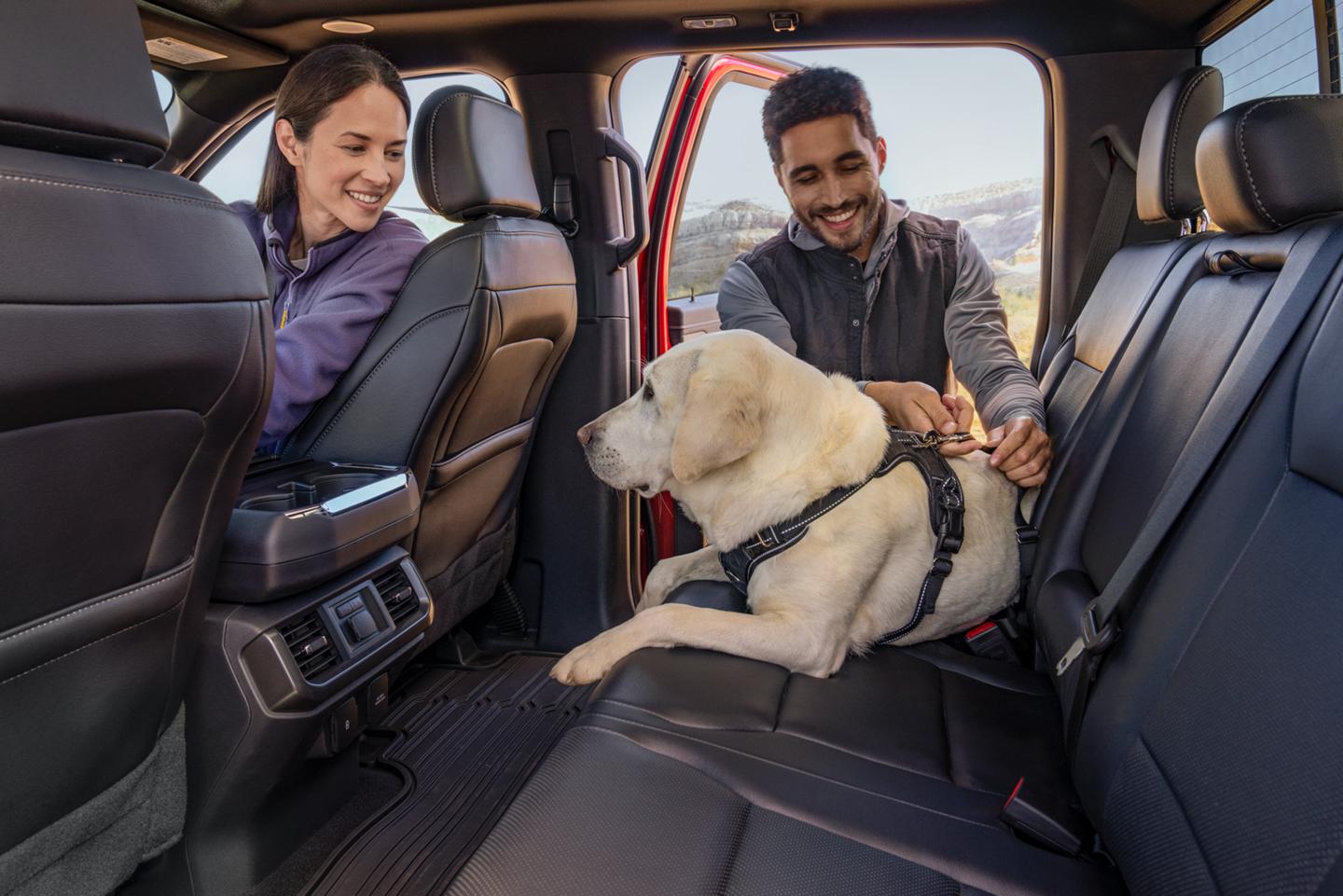 Un homme attache un chien sur le siège passager arrière d'un véhicule Ford.