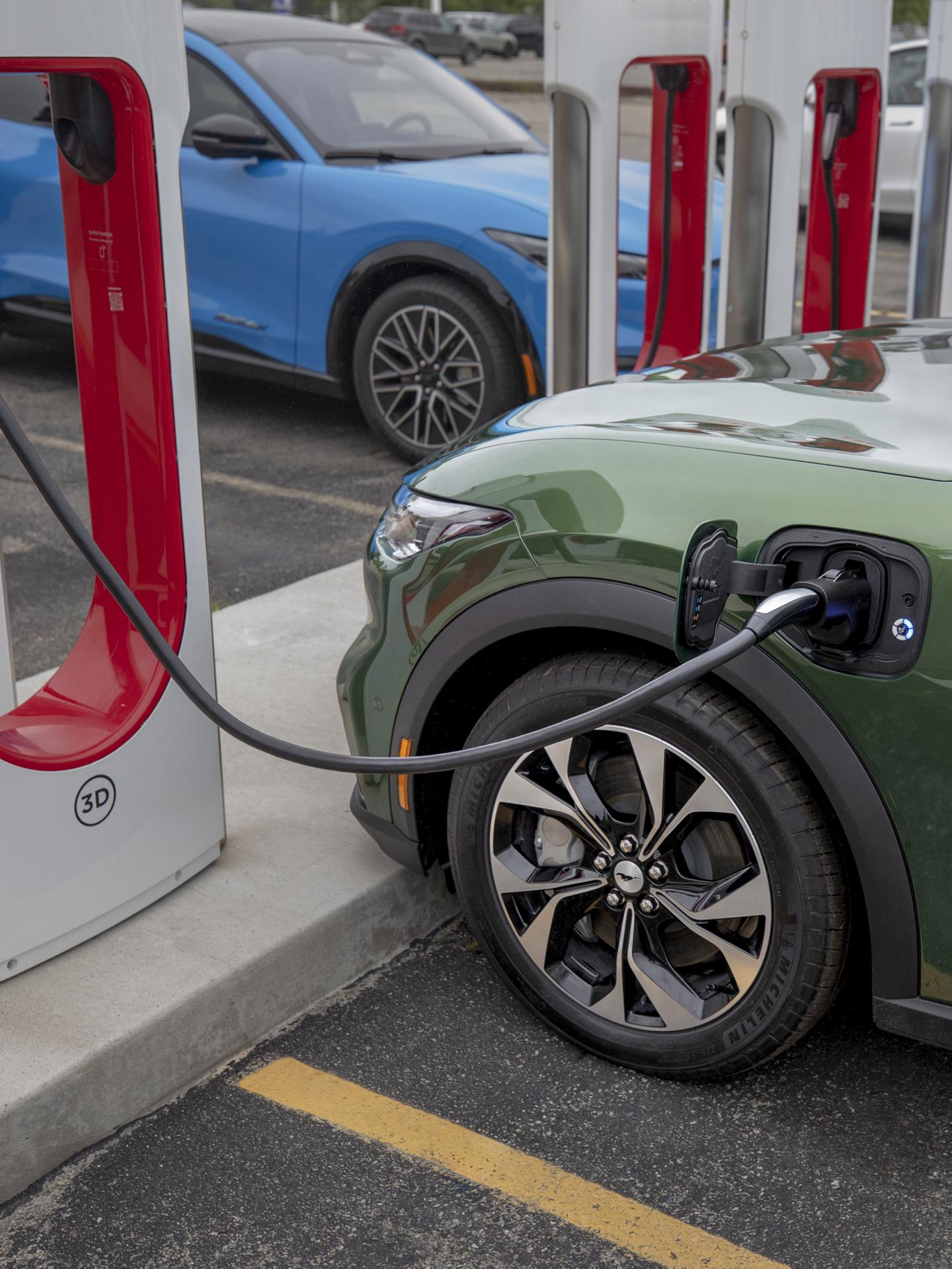 Une Mustang Mach-E branchée à un Superchargeur Tesla public.