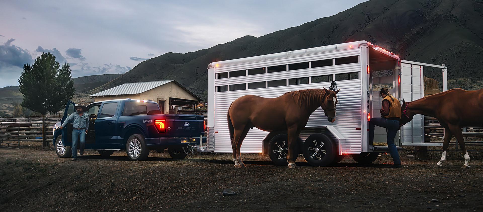 Personne chargeant des chevaux dans une remorque à chevaux attelée à un modèle F-150® King Ranch® 2026