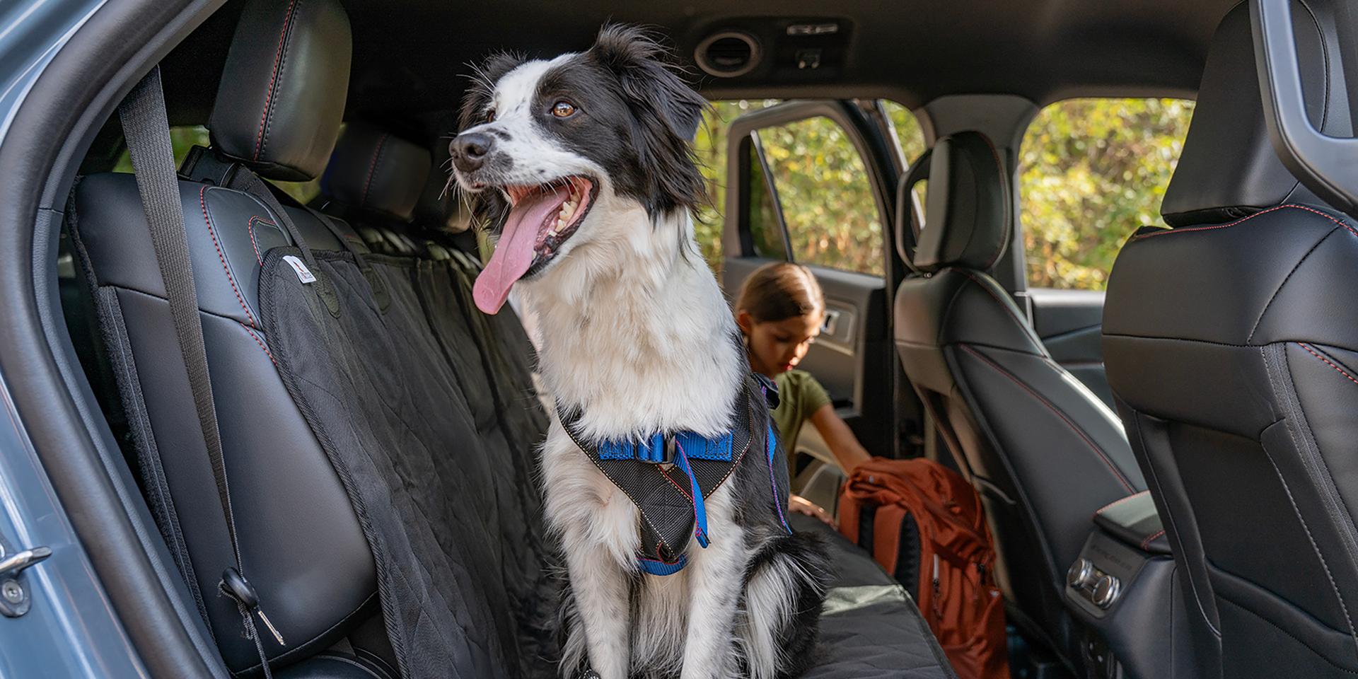 Un chien debout sur le siège de deuxième rangée d’un VUS Ford Explorer® 2027, regardant avec enthousiasme par la portière ouverte