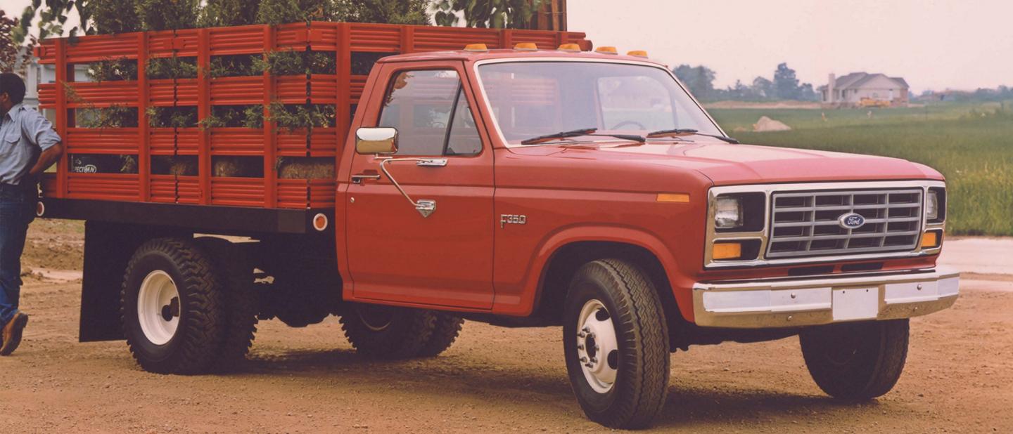 Un F-150 1983 à châssis-cabine chargé d’arbres.