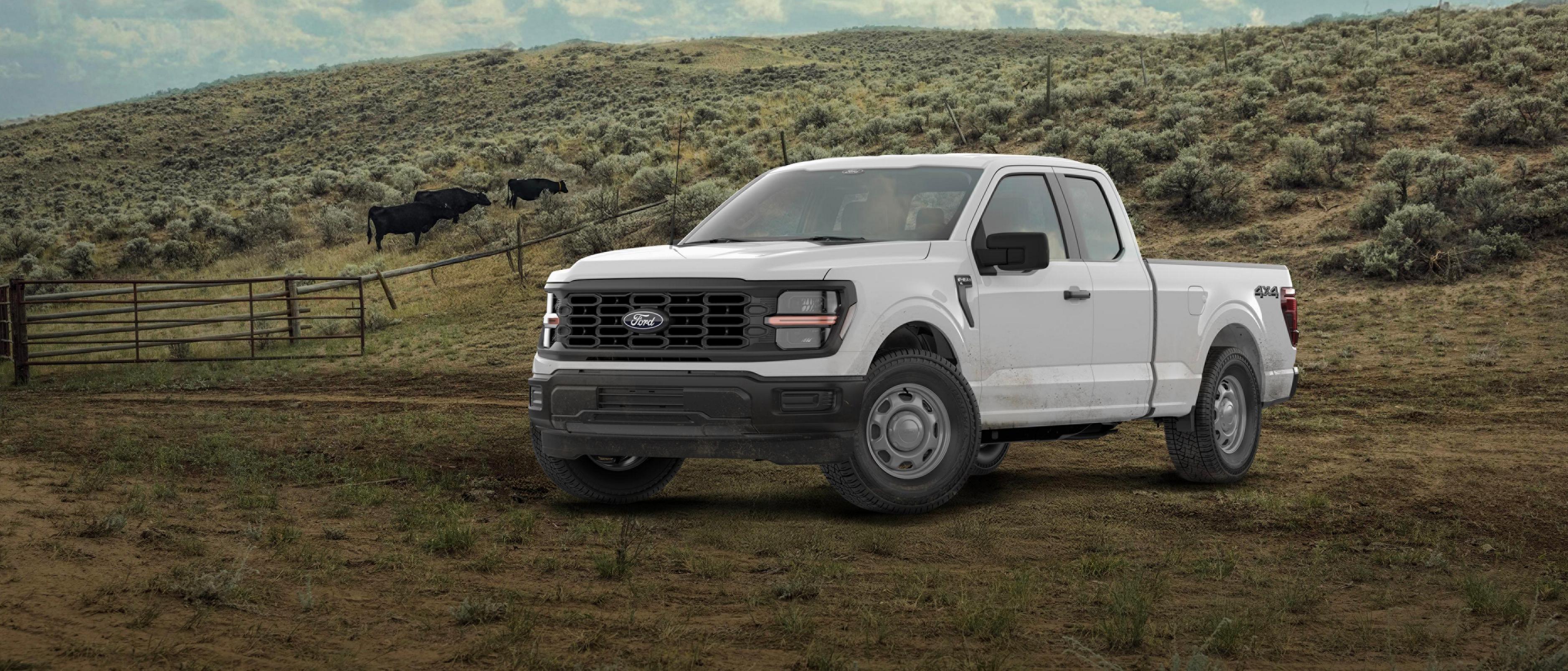 Modèle Ford F-150® XL 2026 stationné dans une forêt