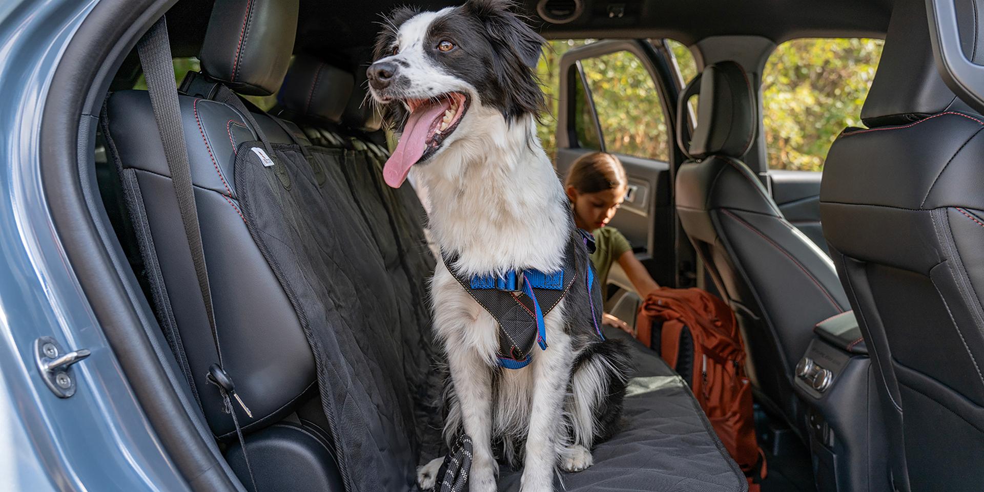 Un chien debout sur le siège de deuxième rangée d’un VUS Ford Explorer® 2027, regardant avec enthousiasme par la portière ouverte